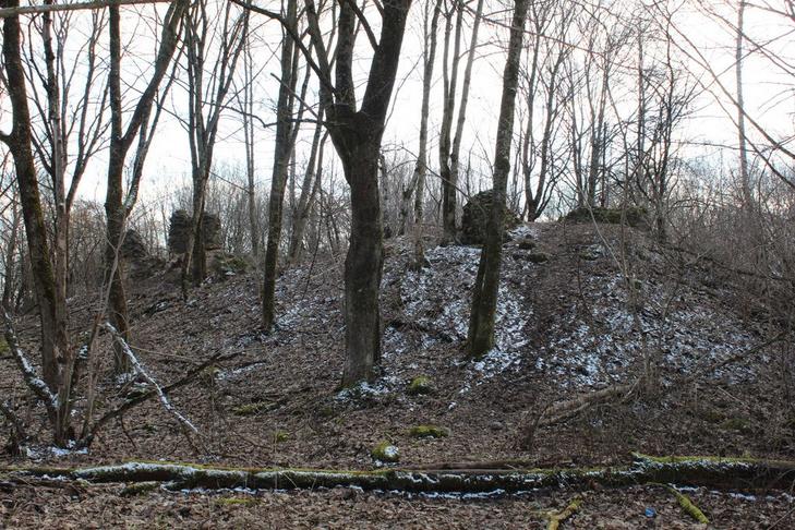 Замок Гаштольдов