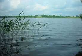 Княгиня Гражина