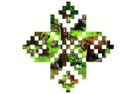 Охотничьи виды животных Беларуси