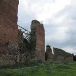 Кревский замок (Замок Ольгерда) (Крево), июнь 2010