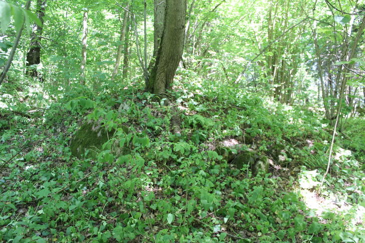 Курганный могильник (Хоруженцы)