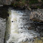 Водопад (Прудники), июль 2014