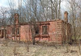 Усадьба Хоминских: усадебный дом