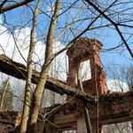 Усадьба Хоминских: усадебный дом (Ольшево), апрель 2012