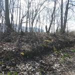 Усадебный дом (Высокое), апрель 2016