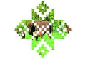 Природа Беларуси