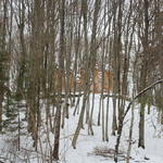 Усадьба Ленских: часовня-усыпальница (Сула), январь 2015