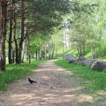 Музей валунов (Музей камней) (Минск), май 2012