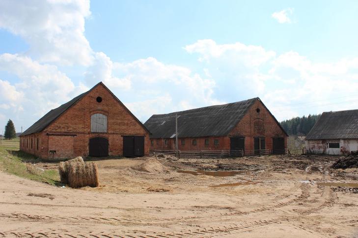 Усадьба Хоминских: конюшни