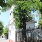 Монастырь бернардинцев: колокольня (Пинск), май 2012