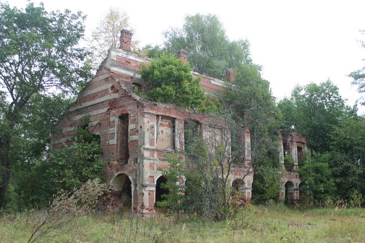 Усадьба Тышкевичей: дворец (Рудня)