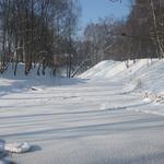 Замчище (Логойск), февраль 2012