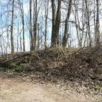 Усадебный дом (Высокое), апрель 2016