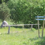 Усадьба Левицких (Карпиловка), июнь 2015