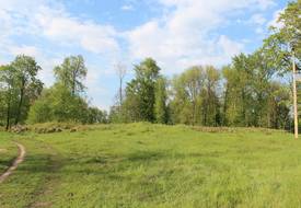 Усадьба Корвин-Милевских: усадебный дом