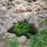 Кревский замок (Замок Ольгерда) (Крево), июнь 2010