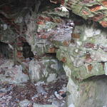 Склеп-усыпальница Дедерко (Полочаны), март 2014