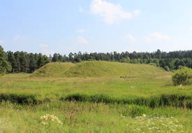 Городище (Раков)