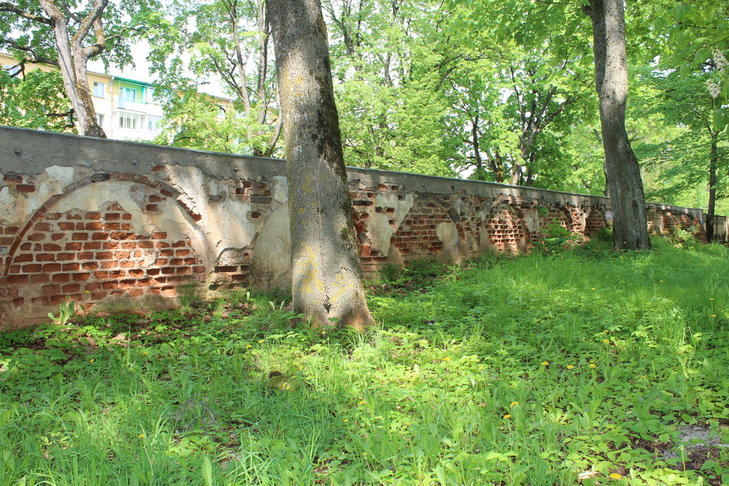 Усадьба Чапских: ограда