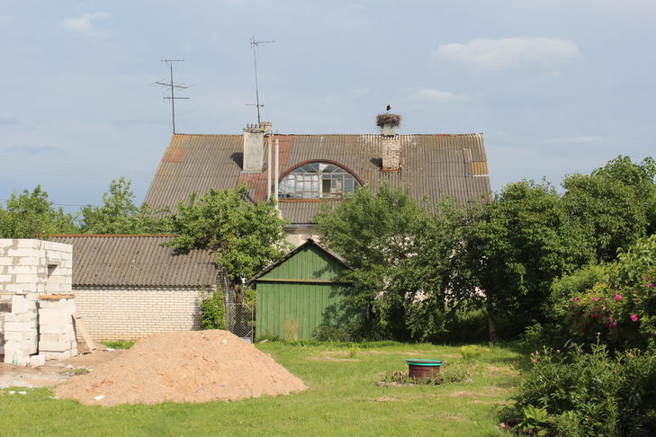 Хедер (Любча)